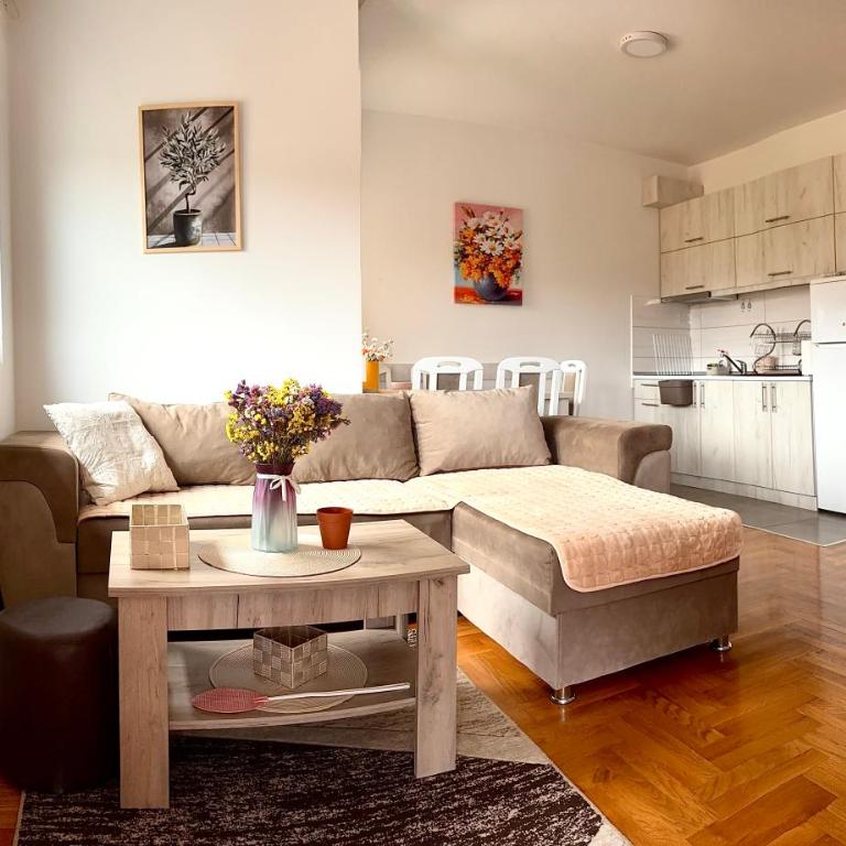 Apartman Vrnjačka Banja centar - Apartman sa 1 Spavaćom Sobom - 1