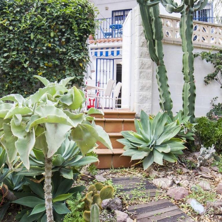 Las Palmeras - Casa de 3 dormitorios - 9