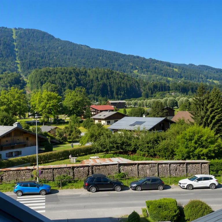 Duplex Samoëns 4/6 couchages - Appartement 1 Chambre - 15