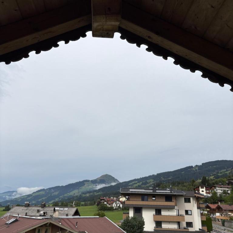 Hölzlbauer Bergblick - Apartment mit 1 Schlafzimmer - 18