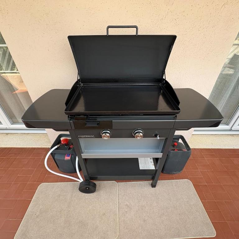 Le Corail, Terrasse, parking privé, plage à 5min - Appartement 2 Chambres - 21