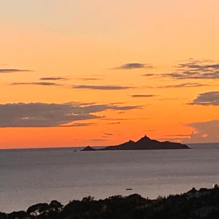 Vue panoramique mer et Sanguinaires, terrasses - Appartement - 18