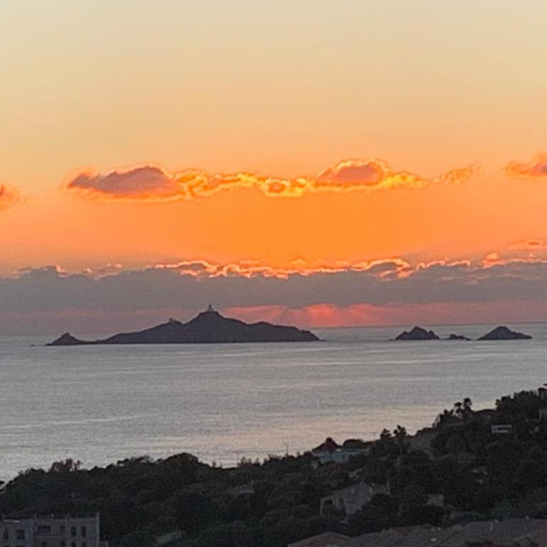 Vue panoramique mer et Sanguinaires, terrasses - Appartement - 17