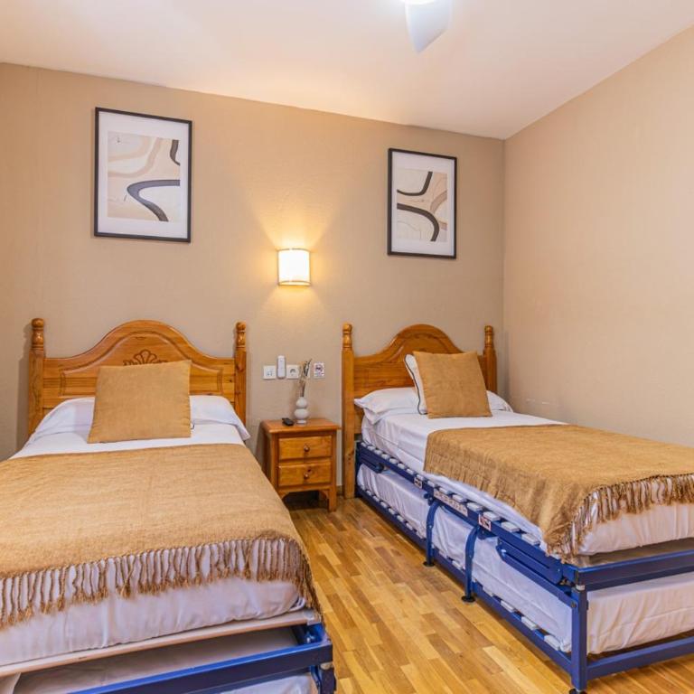 Hostal Valle De Tena - Camera Matrimoniale/Doppia con Letti Singoli - 4