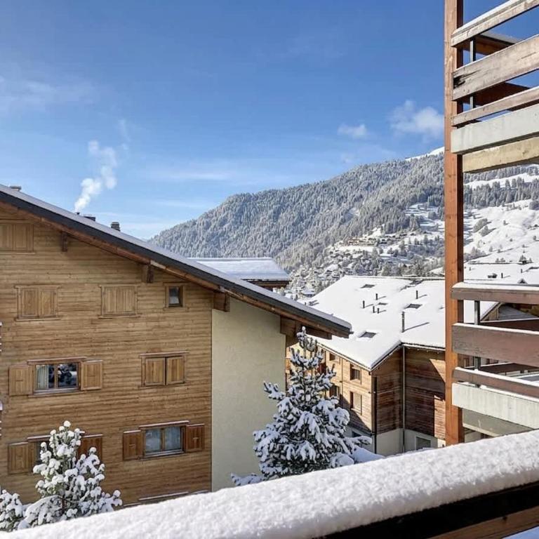 Ambassador 203 - Appartement - 11