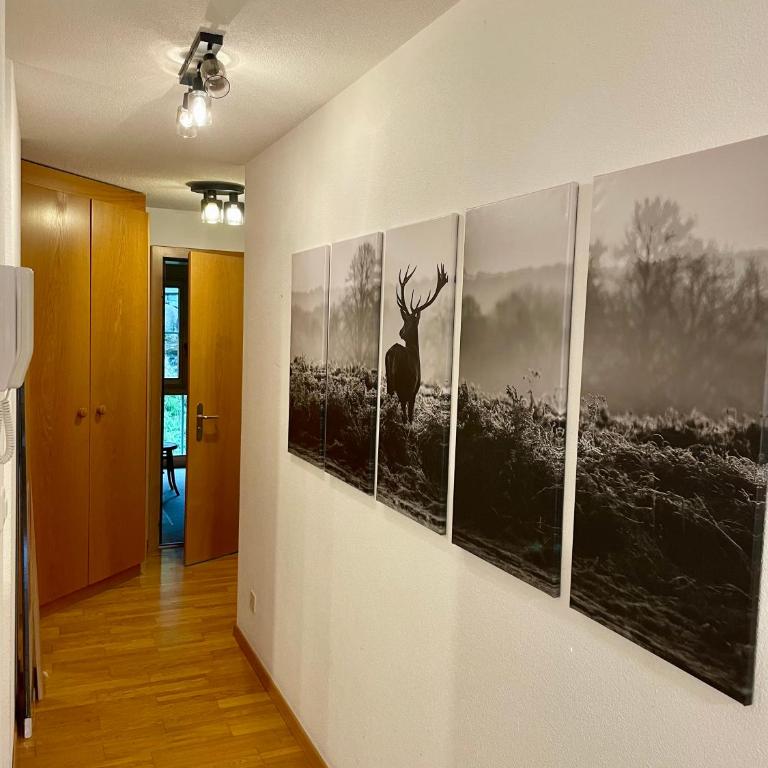 Ferienwohnung Gemmiblick - Appartamento Superior - 4