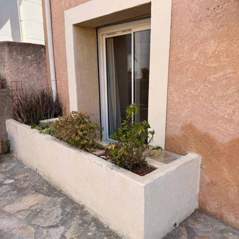 studio Voltaire - Appartement 1 Chambre - 3