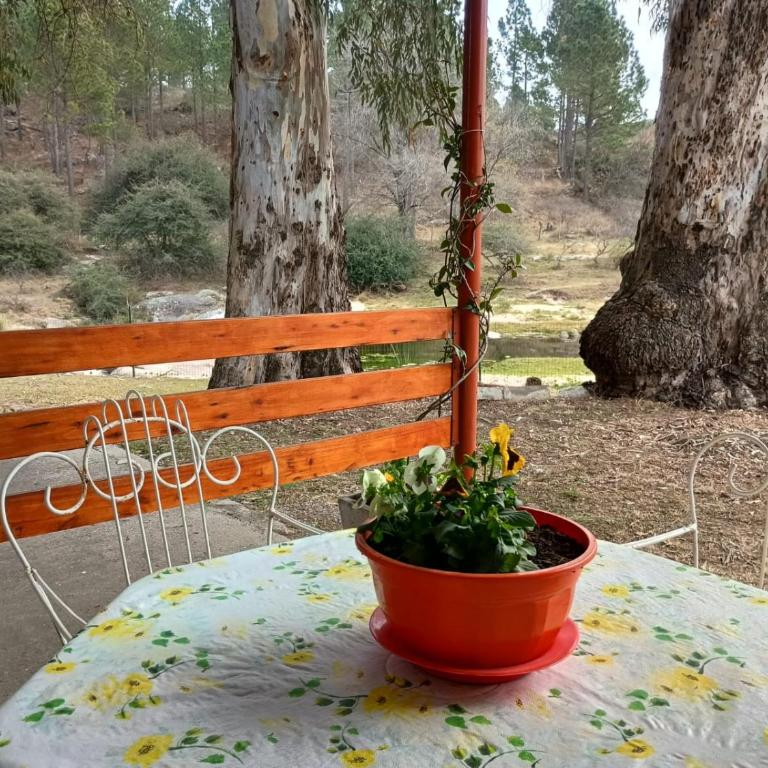 Alojamiento frente al Arroyo Cristal - Casa con 1 dormitorio - 28