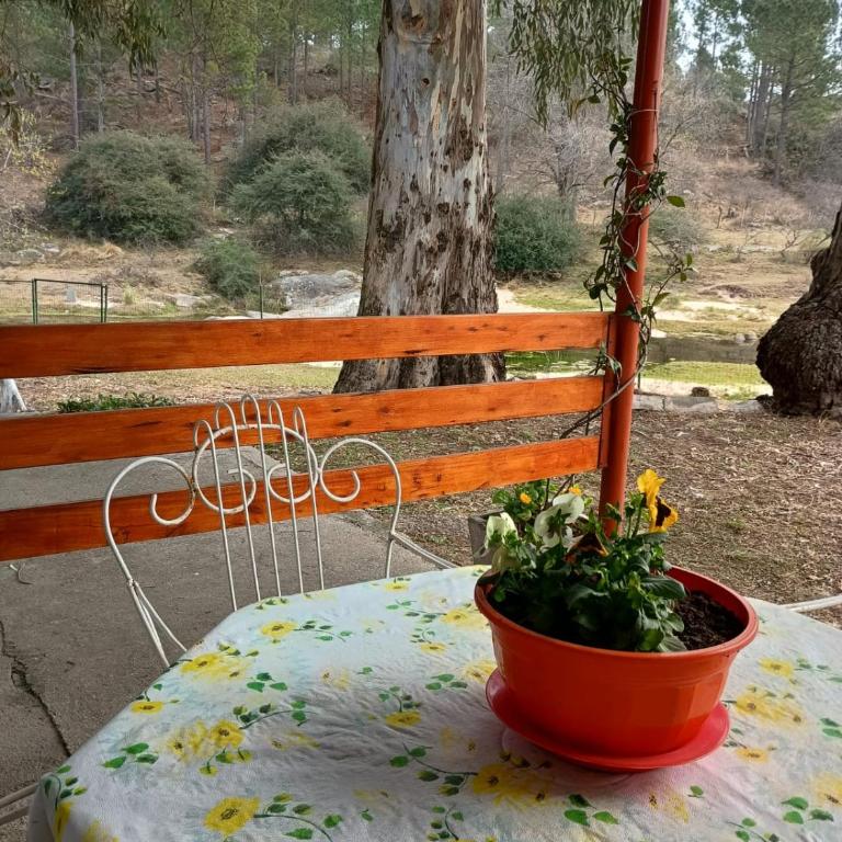 Alojamiento frente al Arroyo Cristal - Casa con 1 dormitorio - 31