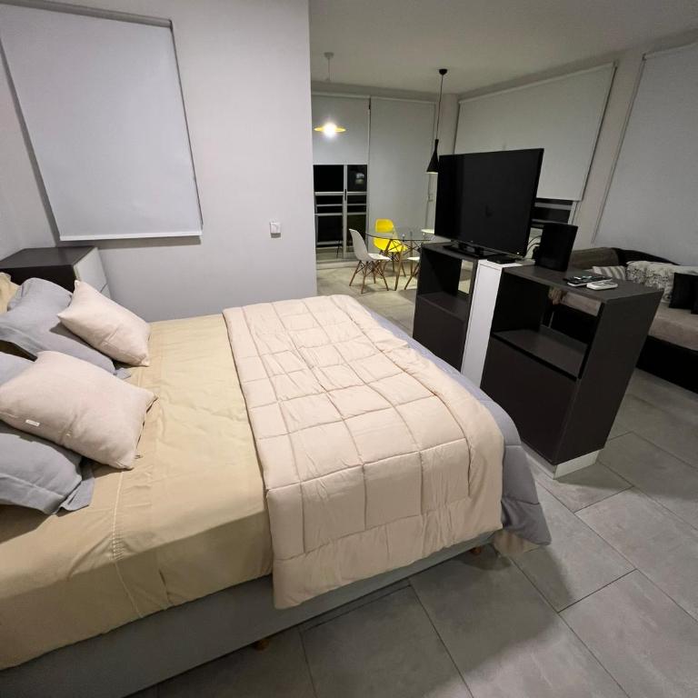 Departamento Completo - Palermo Soho - 1 Ambiente - 3 Personas - 45 m2 - One-Bedroom Apartment - 20
