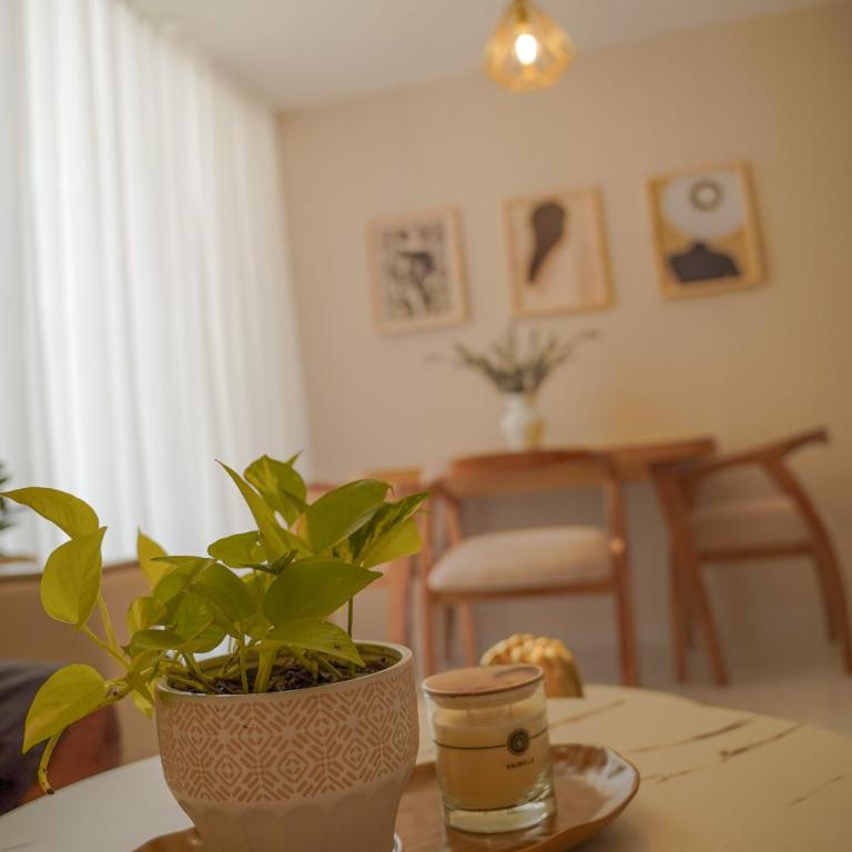 Exclusivo Apartamento - Apartamento de 3 dormitorios - 6