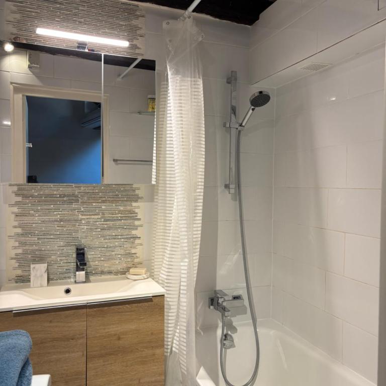 Studio Notre-Dame de Paris with home cinéma - Apartment mit 1 Schlafzimmer - 9