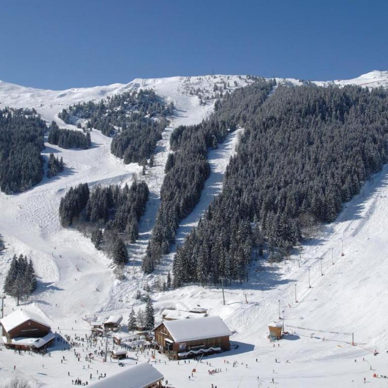Le Chalet Joly - Maison de Vacances - 31