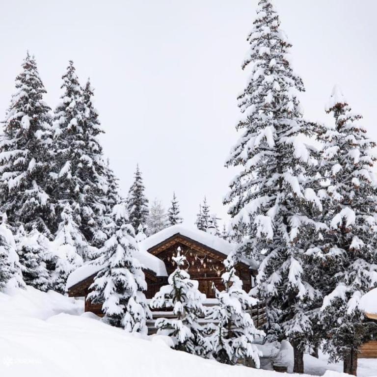 Le Chalet Joly - Maison de Vacances - 33