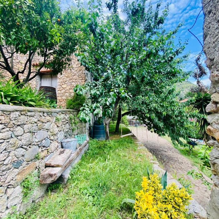 Hostdomus - Villa Cassi - Apartamento de 2 dormitorios - 22
