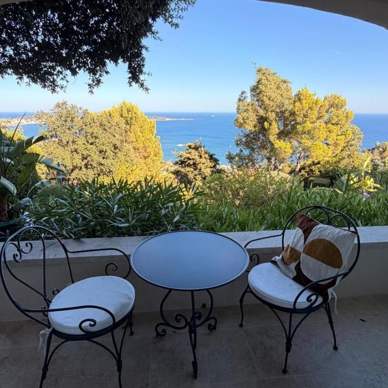 Stunning sea view - beautiful Villa Barcarolle - Villa - 23