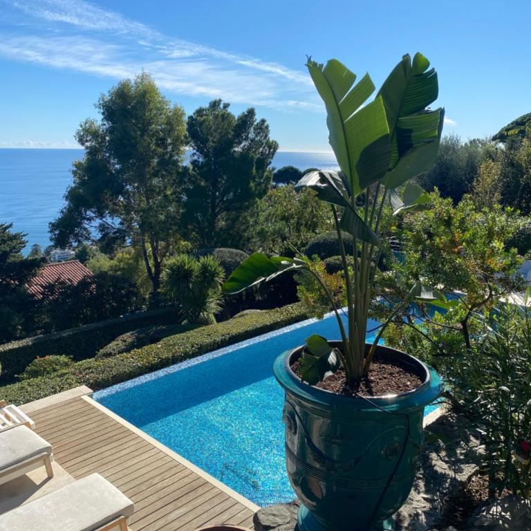 Stunning sea view - beautiful Villa Barcarolle - Villa - 27