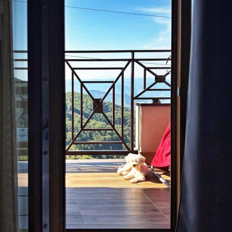 Milmari M12 - Apartment - 62