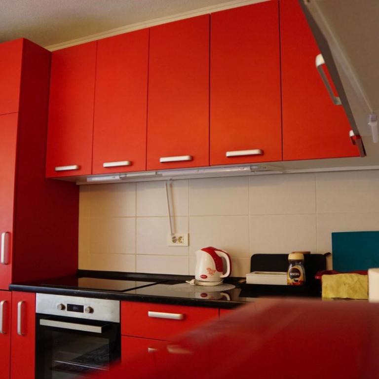 Apartment Alice's dream with free garage - Appartement 1 Chambre - 24