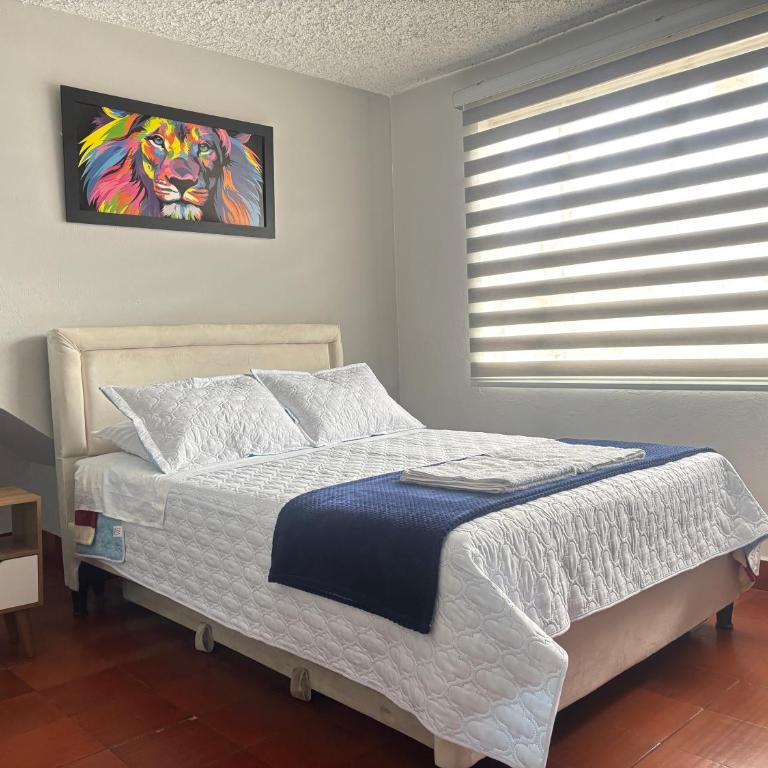 Hospedaje Casa Miraflores - Apartamento Estándar de 3 dormitorios - 31