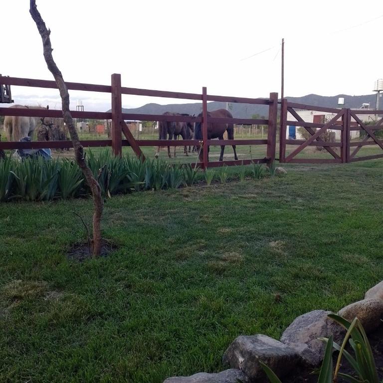 El Quincho del Locato - Casa de 2 dormitorios - 4