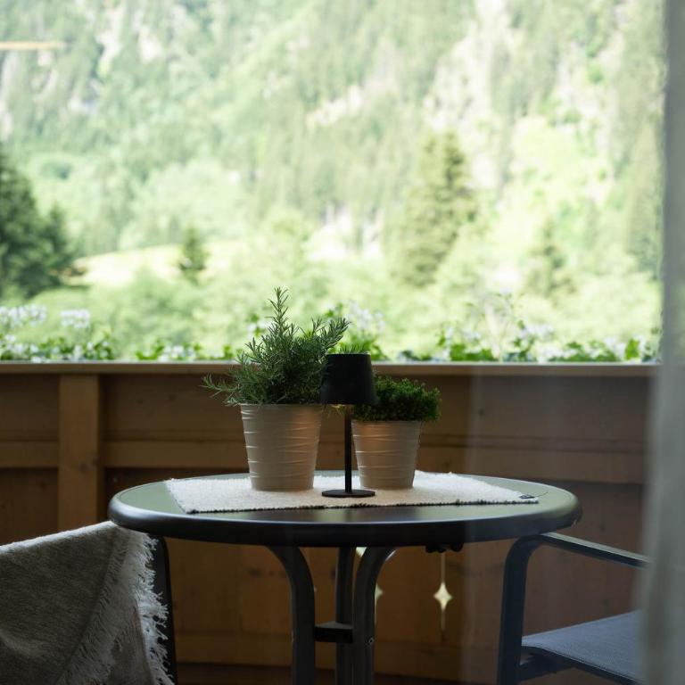 stoanmandl Wohlfühlappartements - Apartment mit 1 Schlafzimmer und Balkon - 28