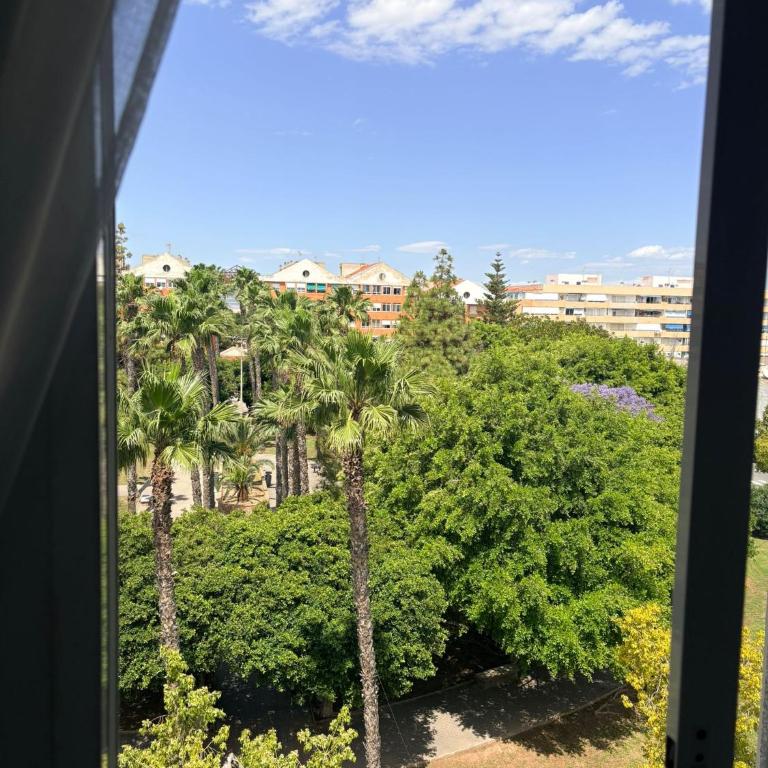 Soleil et plage Torrevieja - Apartamento de 2 dormitorios - 3
