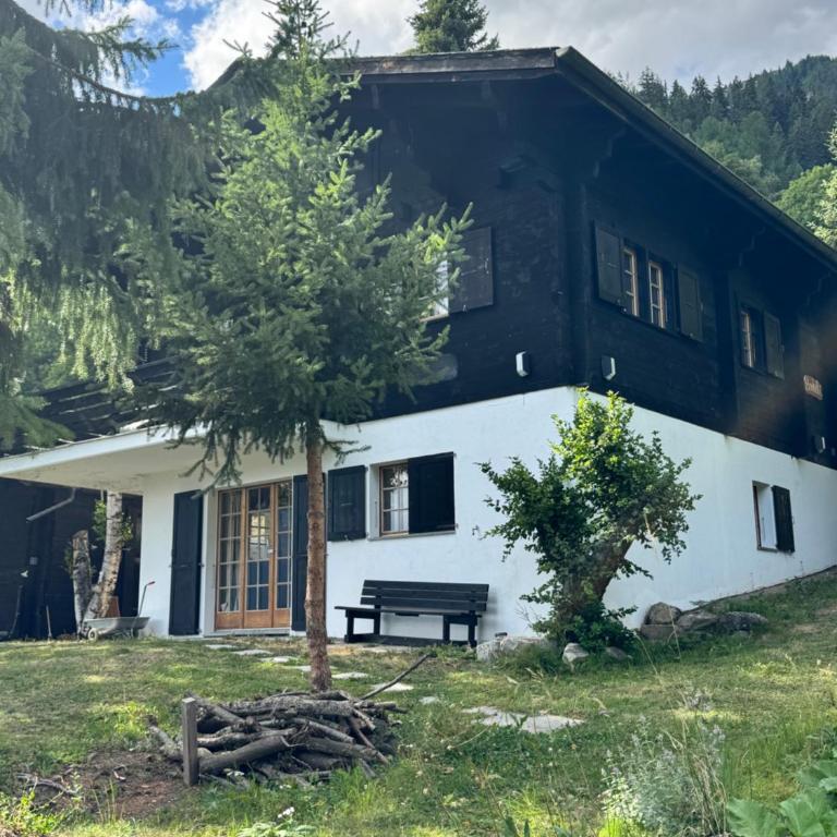 Chalet Bodeli with sauna and panoramic view glacier area - Chalet - 50