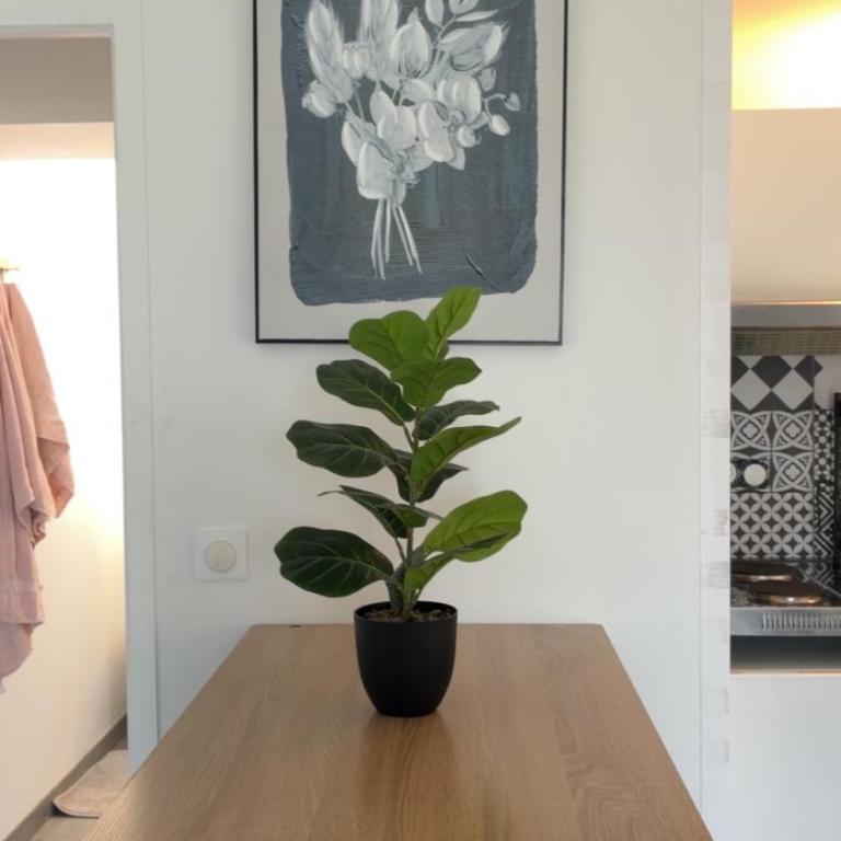 Studio avec jardin terrasse et parking privé - Appartement 2 Chambres - 12