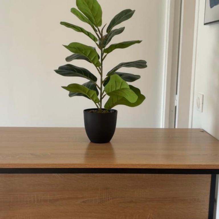 Studio avec jardin terrasse et parking privé - Appartement 2 Chambres - 13