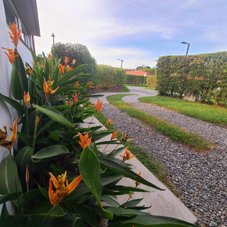 Casa Campestre en zona exclusiva con Jacuzzi, a 10 min del aeropuerto, 20 min parque del café, WiFi, parqueadero privado, vigilancia 24 hrs y amplias zonas sociales - Casa de 2 dormitorios - 80