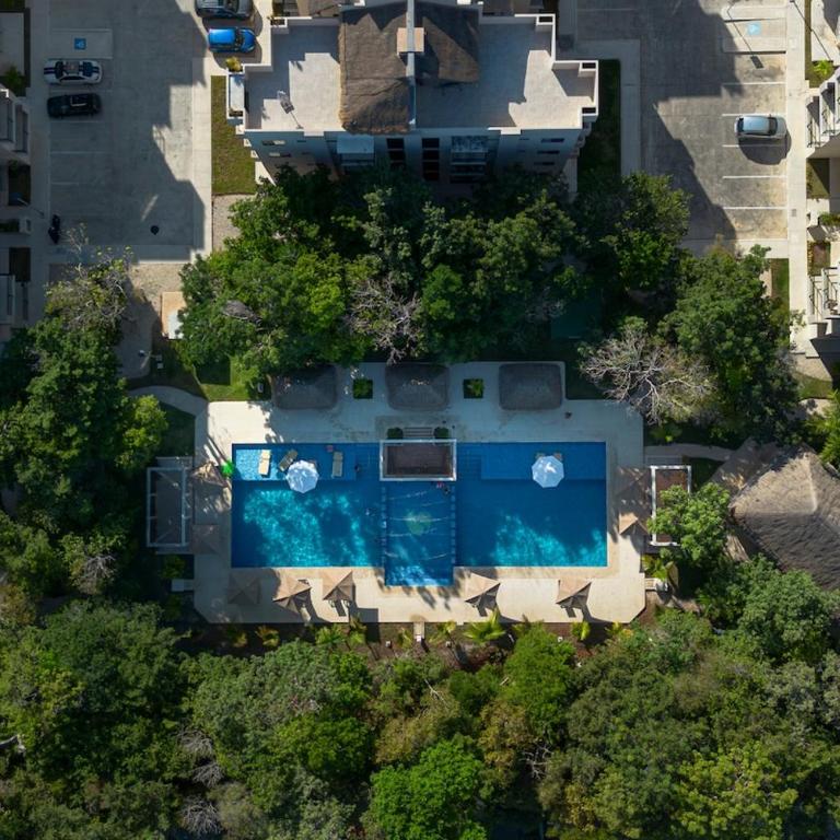 Apartment in Puerto Morelos Rooftop with Jungle View - Apartamento de 2 dormitorios - 30
