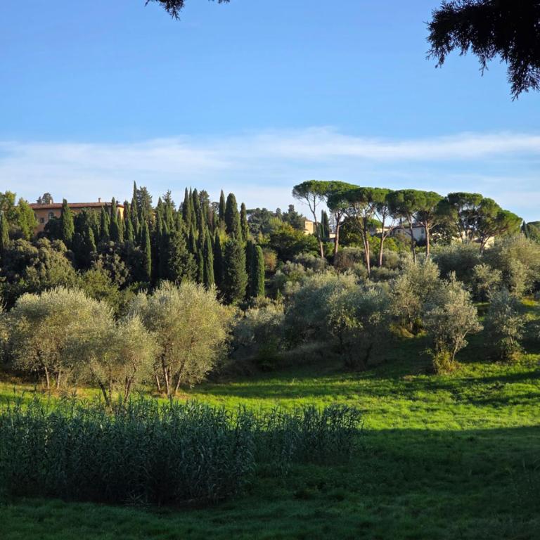 La casa del Brunelleschi - Two-Bedroom Apartment - 8