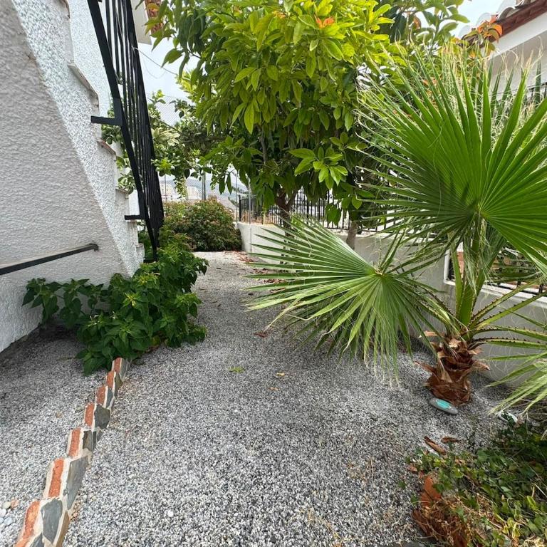 Cumbre Velilla 2 - Apartamento de 2 dormitorios - 12