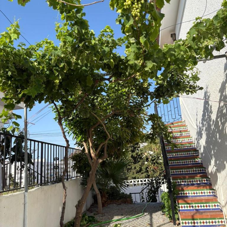 Cumbre Velilla 2 - Apartamento de 2 dormitorios - 21