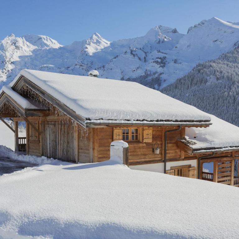 Chalet 4★, 5 chambres, spa extérieur, navette proche, animaux bienvenus - FR-1-304-301 - Chalet - 3