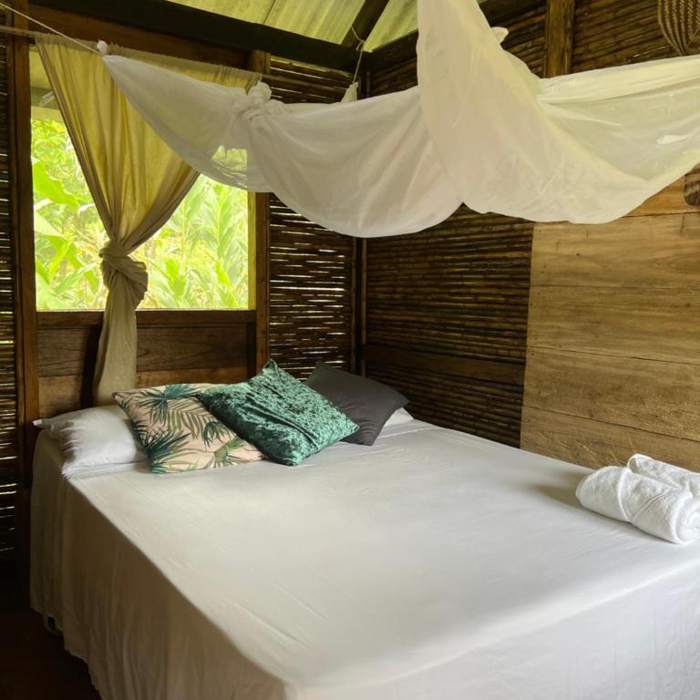 Ancestra black ecolodge - Habitación Doble con vistas al jardín - 3