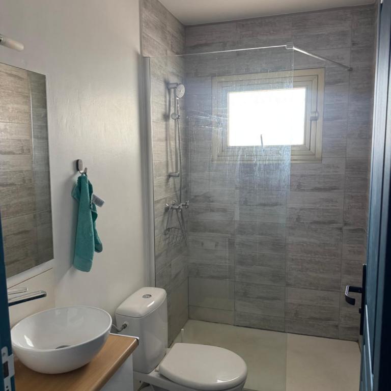 Studio La Mitre - Apartment mit 1 Schlafzimmer - 1