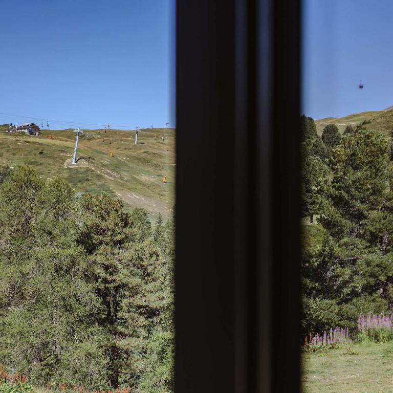 Appartement avec vue sur pistes - 4 pers. - Appartamento con 1 Camera da Letto - 8