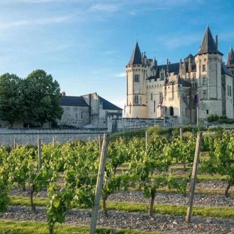 L'Instant Loire - Haus mit 2 Schlafzimmern - 30