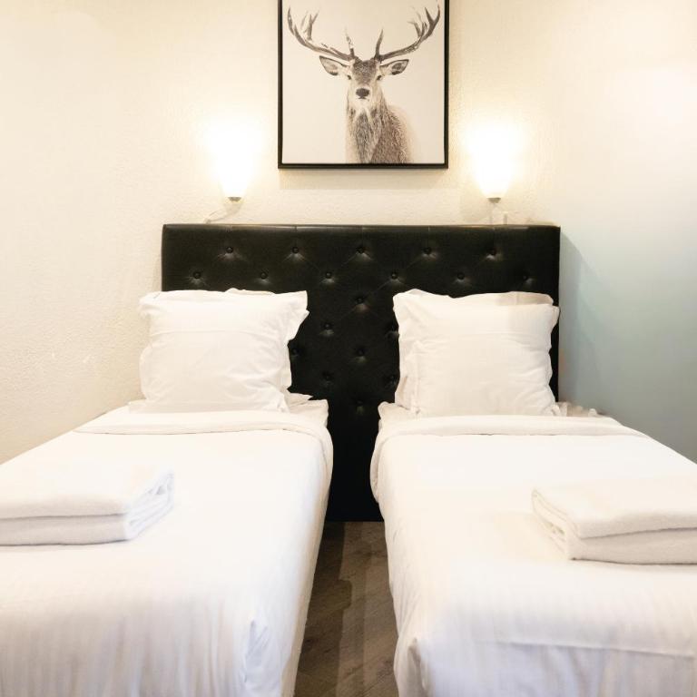 Le Loup Blanc - Chambre Quadruple en Duplex - 3