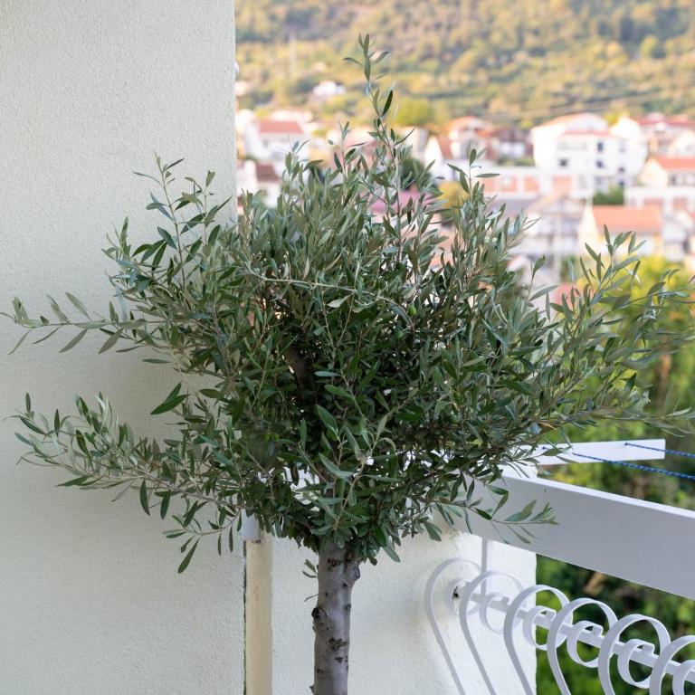 Žana Luxury Apartment - City Center Tivat - One-Bedroom Apartment - 21