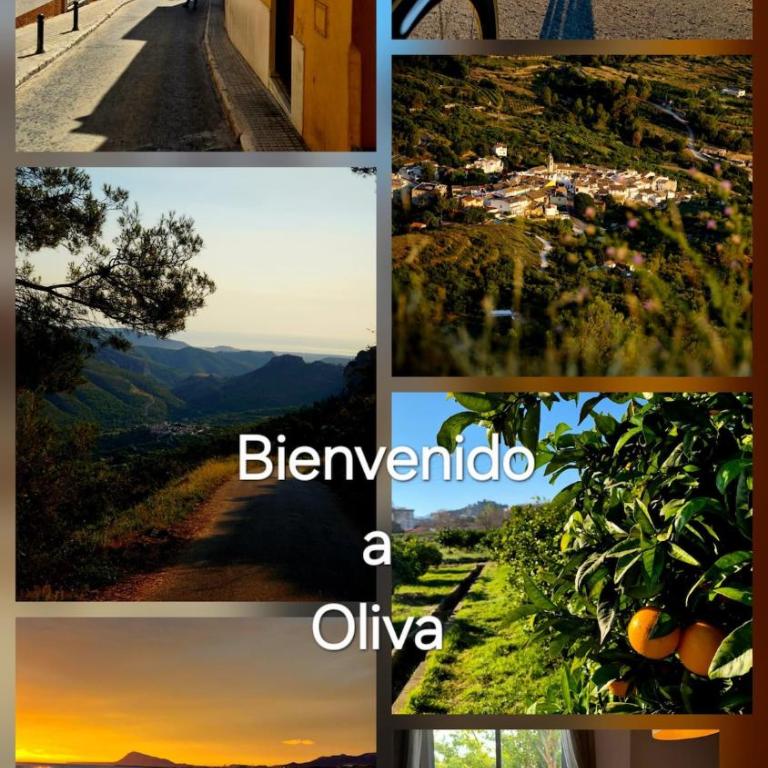 Sunny and stylish Apartment in Oliva - 3 Bedrooms - Apartamento de 3 dormitorios - 29