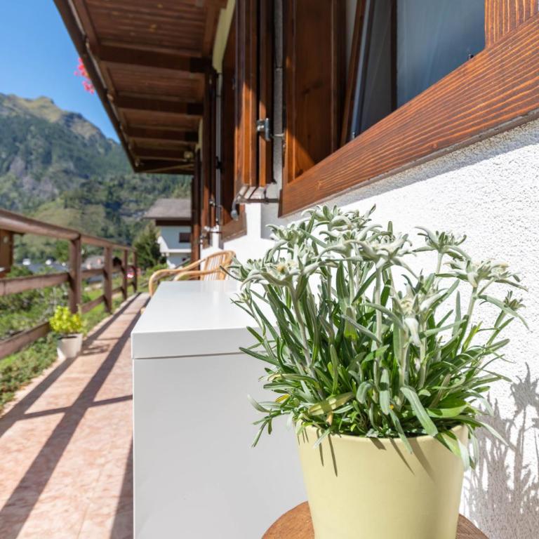 Sunshine Home PT - Appartamento con 2 Camere da Letto - 32