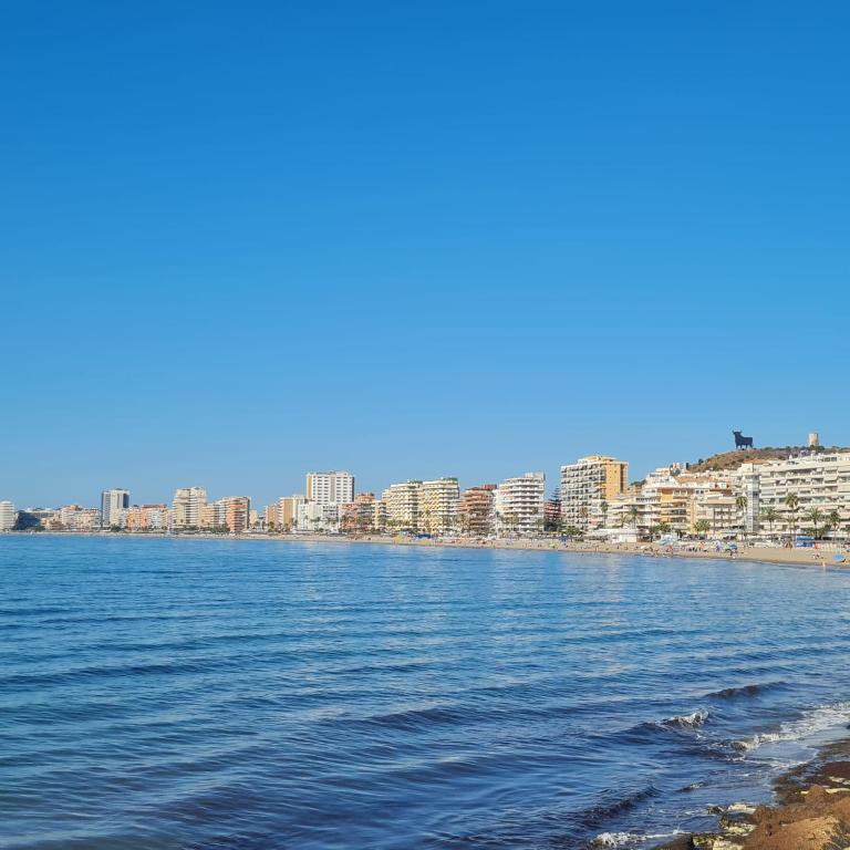 Apartamento El Yate 4 - Apartamento de 1 dormitorio - 14