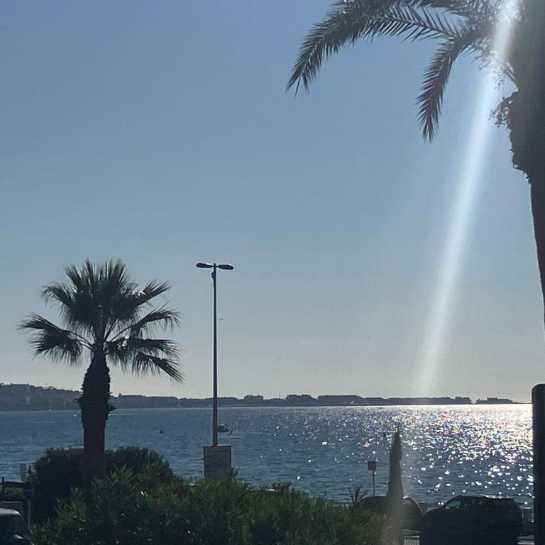Cannes Sea front terace iland view parking AC wifi - Apartment mit Terrasse - 13