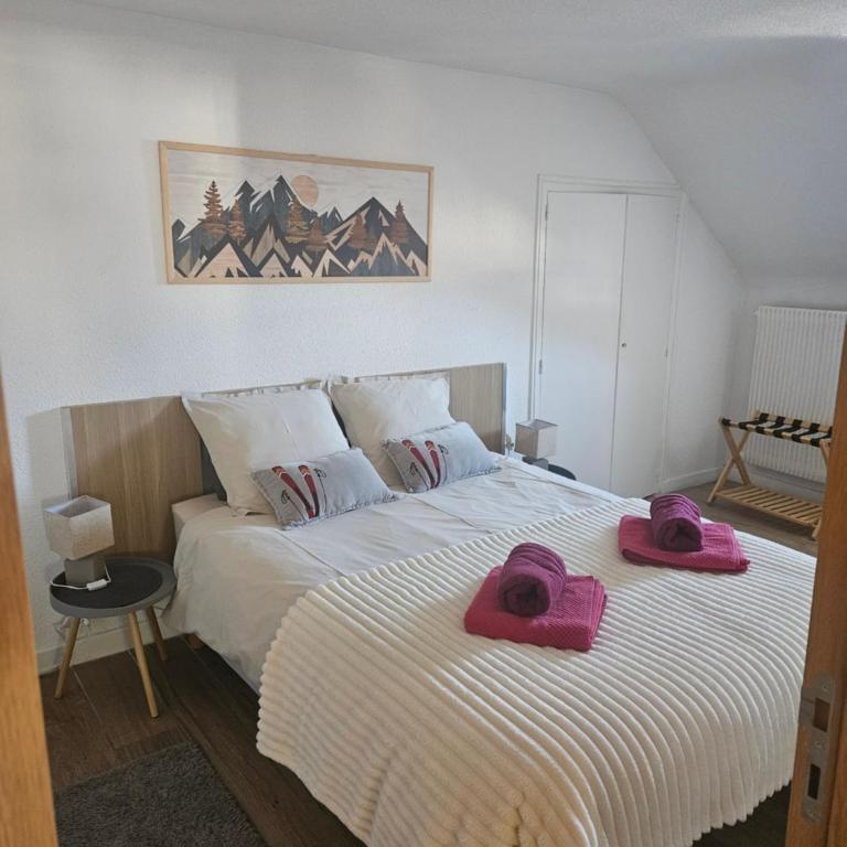 Appartement hyper centre, idéal pour 4 pers possibilité 6 couchages - Appartamento con 2 Camere da Letto - 8