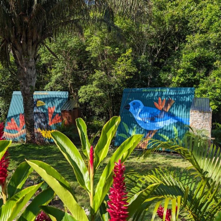 Sierra Jungla - Double Room with Private Bathroom - 11