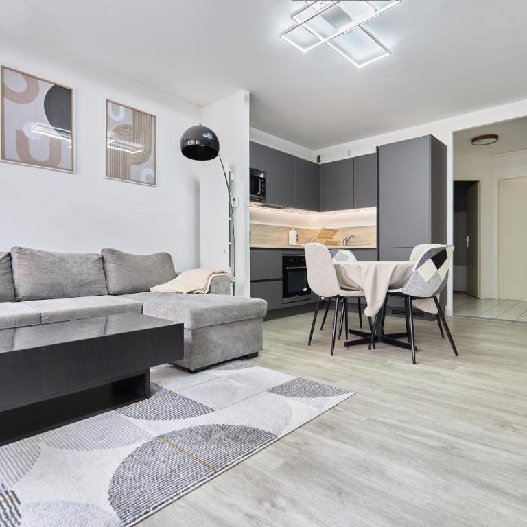 Appartement Reims - Appartement 1 Chambre - 42