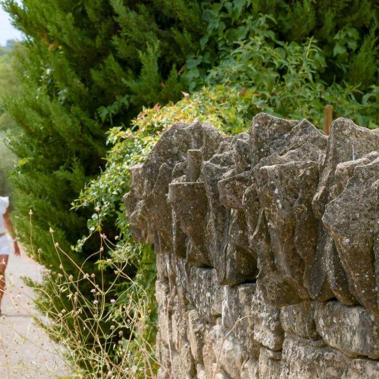 Côté Gordes - Haus mit 2 Schlafzimmern - 38